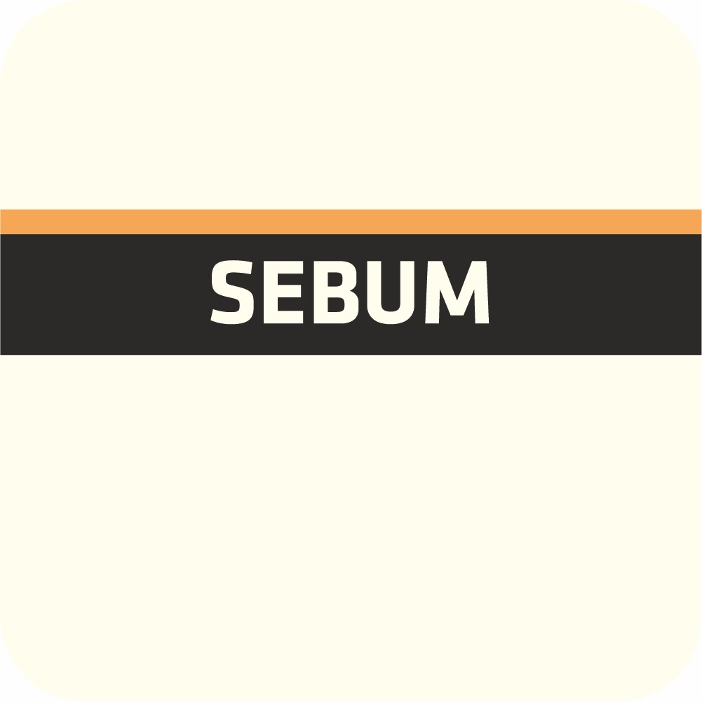 SEBUM 2.0. przeciw przetłuszczaniu